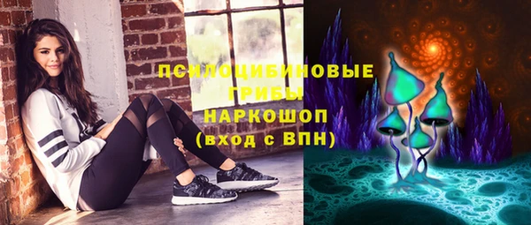 эйфоретик Баксан