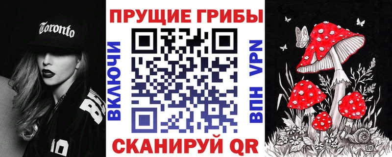 где можно купить наркотик  Пятигорск  Галлюциногенные грибы MAGIC MUSHROOMS 
